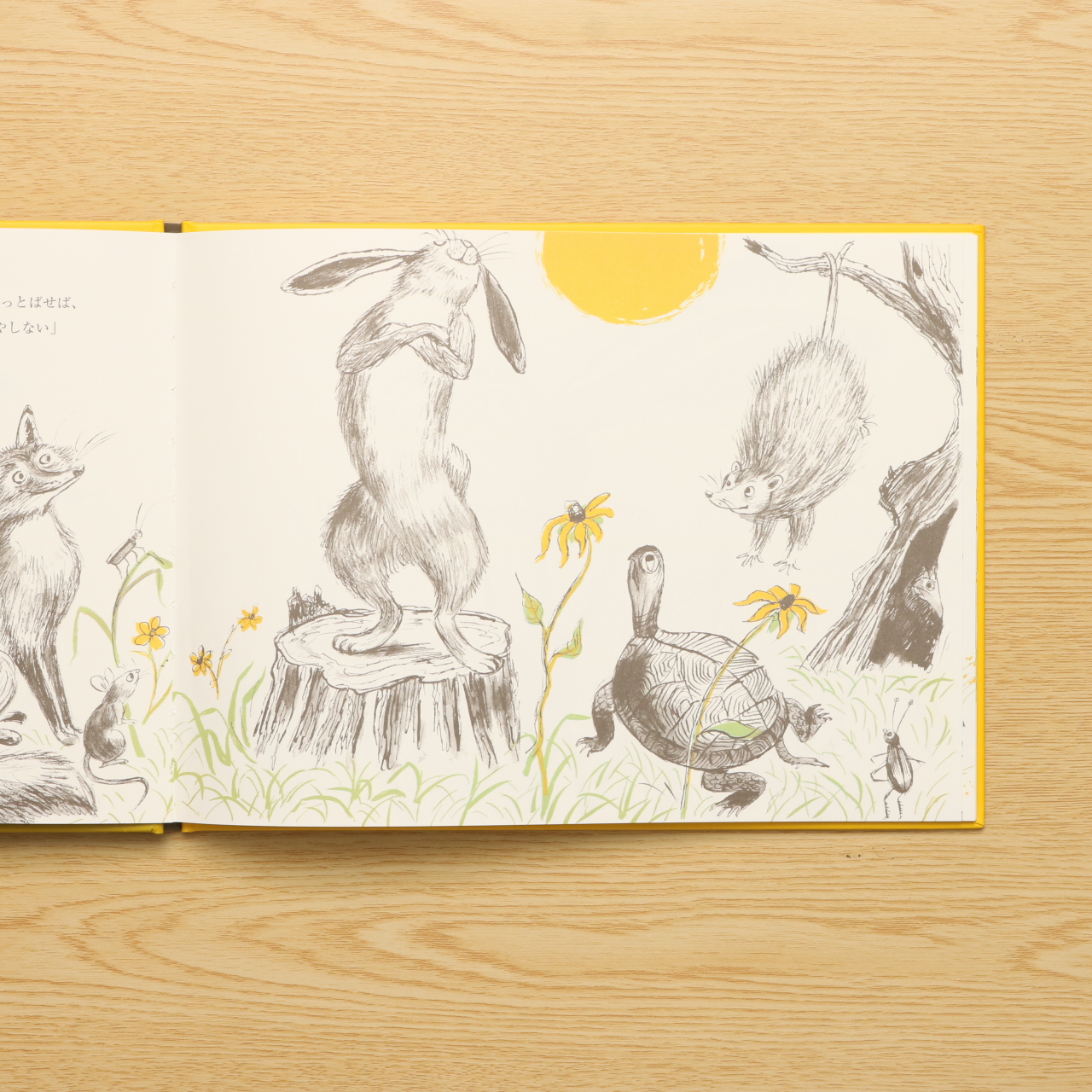 M0pmqedqtishpm M0pmqedqtishpm