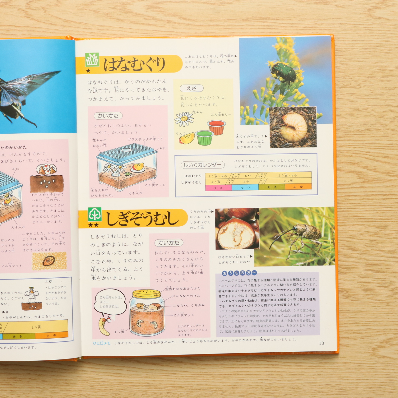 しいく かんさつ図鑑 チャイルドブックこども百科 中古絵本の販売 えほんポケット しいく かんさつ図鑑 チャイルドブックこども百科 中古絵本の販売 えほんポケット