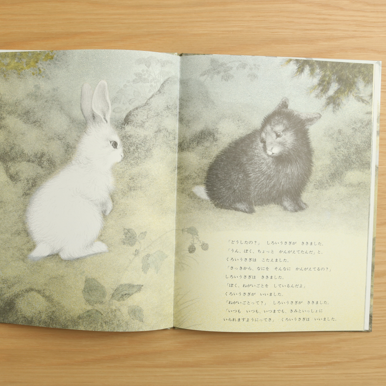 しろいうさぎとくろいうさぎ 中古絵本の販売 えほんポケット しろいうさぎとくろいうさぎ 中古絵本の販売 えほんポケット