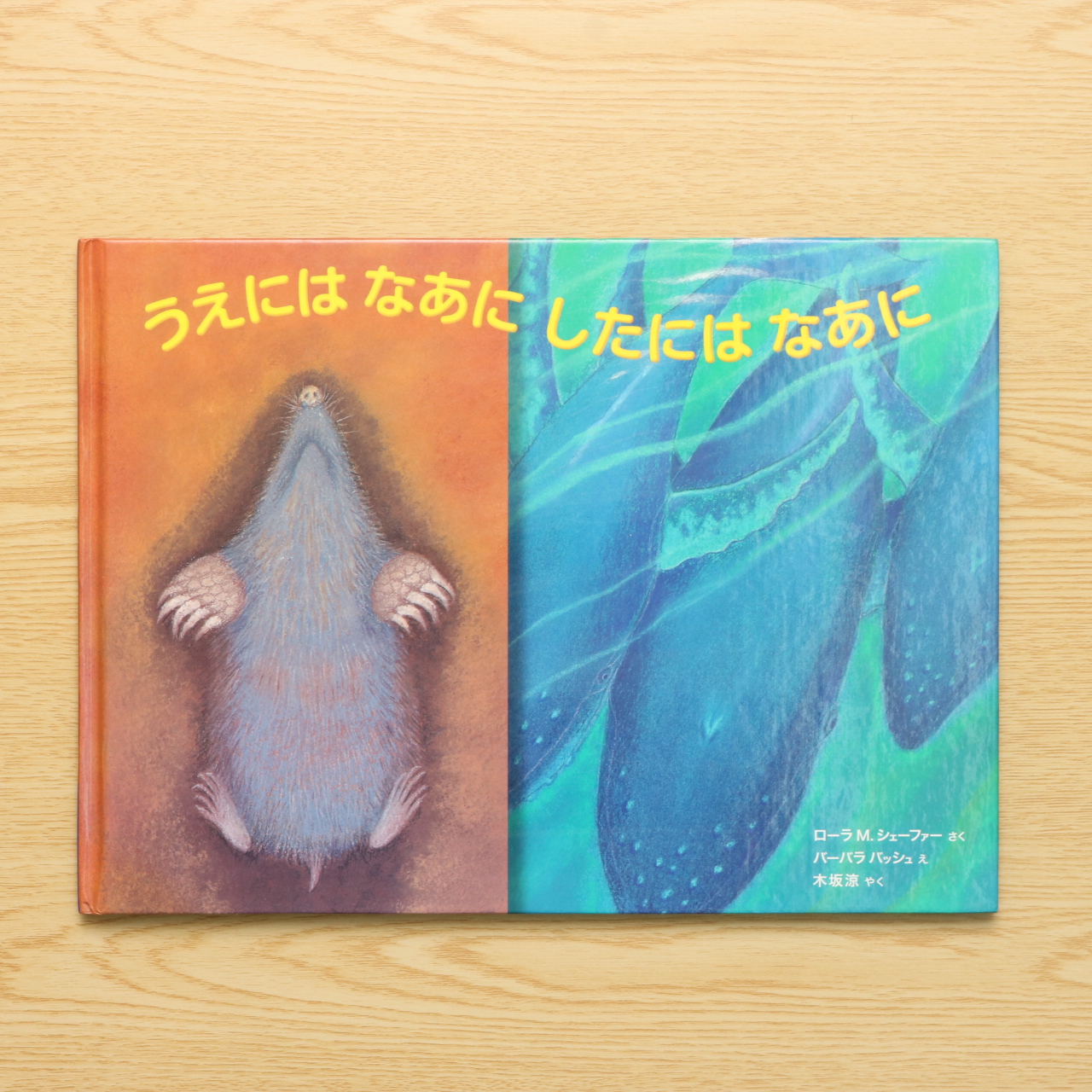 うえにはなあに したにはなあに 福音館の科学シリーズ 中古絵本の販売 えほんポケット