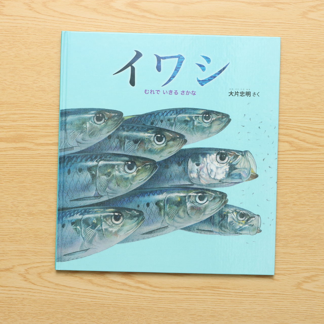 イワシ むれで いきる さかな かがくのとも絵本 中古絵本の販売 えほんポケット