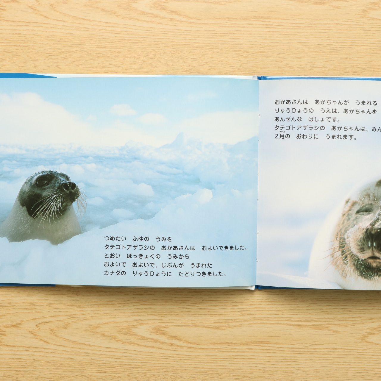 タテゴトアザラシのおやこ 親と子の写真絵本 1 中古絵本の販売 えほんポケット